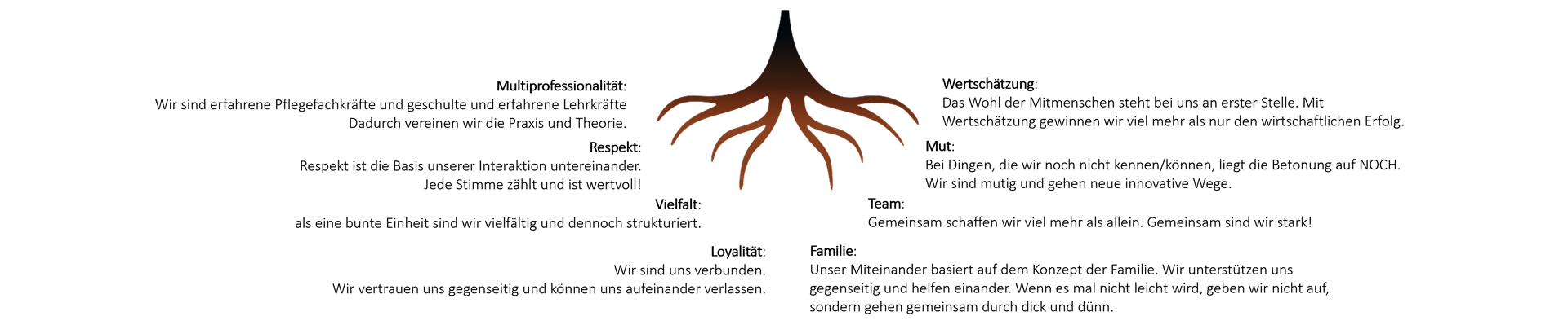 Grafik einer Wurzel mit Begriffen wie Respekt, Vielfalt, Team, Familie und Wertschätzung – die Wertebasis der Pflegeakademie WBL.